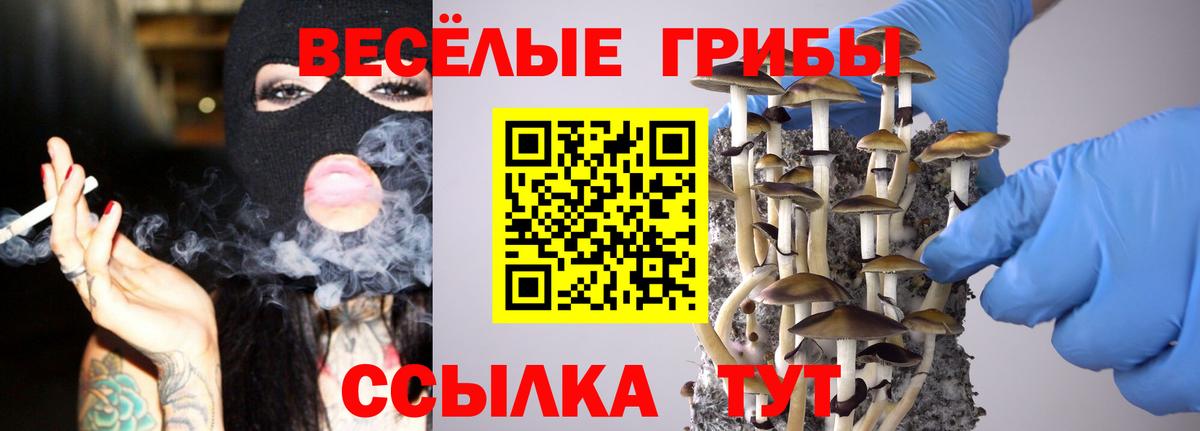 Галлюциногенные грибы Magic Shrooms  Вход с VPN  Псилоцибиновые грибы MAGIC MUSHROOMS  Евпатория 